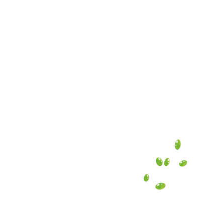 Melanes Tour – Ανακάλυψε την Κυκλαδίτικη Παράδοση στη Νάξο