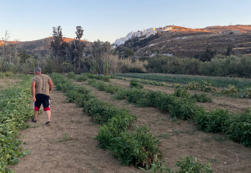 Melanes Tour – Ανακάλυψε την Κυκλαδίτικη Παράδοση στη Νάξο