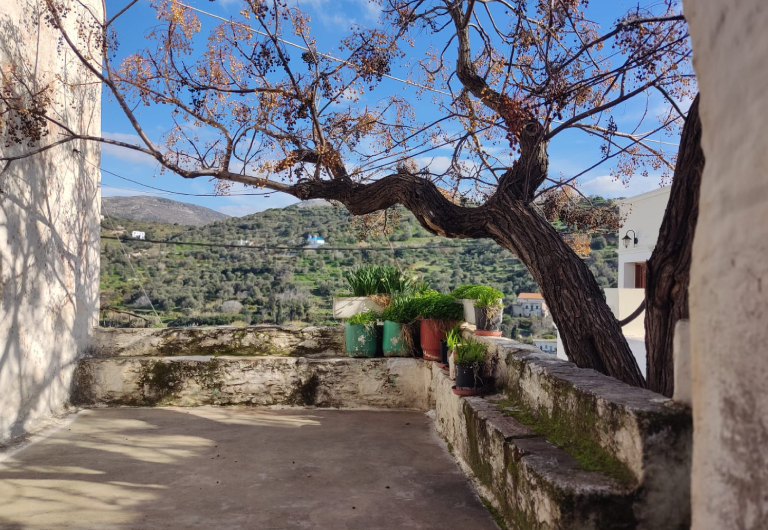 Melanes Tour – Ανακάλυψε την Κυκλαδίτικη Παράδοση στη Νάξο