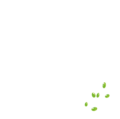 Melanes Tour – Ανακάλυψε την Κυκλαδίτικη Παράδοση στη Νάξο