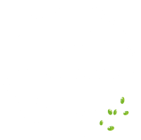 Melanes Tour – Ανακάλυψε την Κυκλαδίτικη Παράδοση στη Νάξο